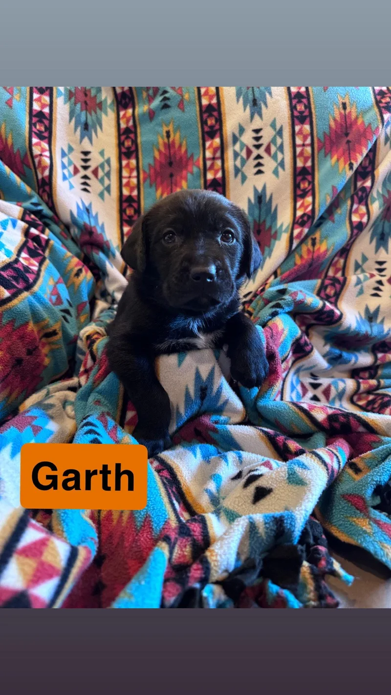 Garth