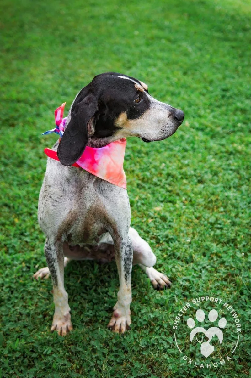 Maybelle thumbnail 2