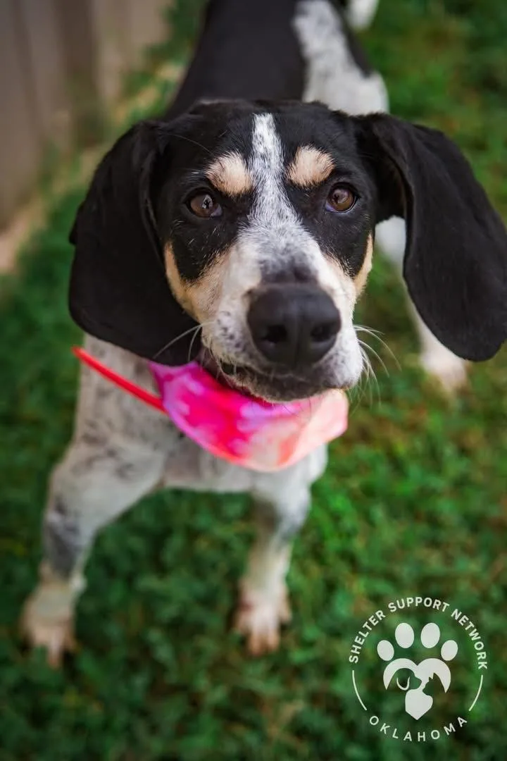 Maybelle thumbnail 3