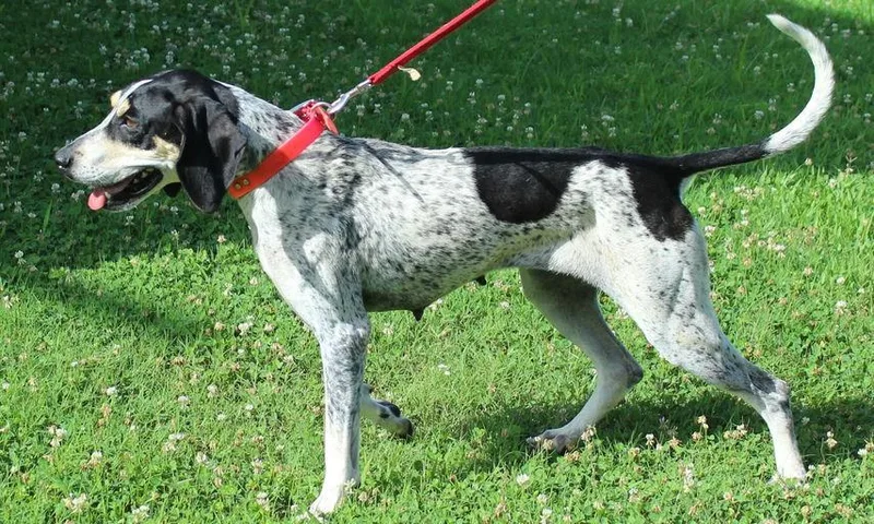 Maybelle thumbnail 5