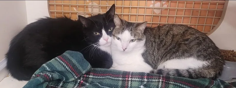 Donna Jean & Peggy thumbnail 2