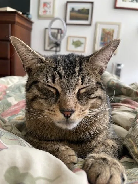 Zzcourtesy Listing For Ethan