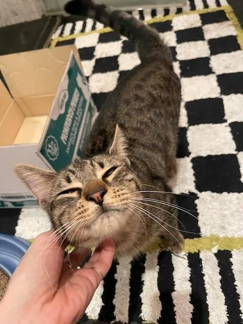 Zzcourtesy Listing For Ethan thumbnail 2