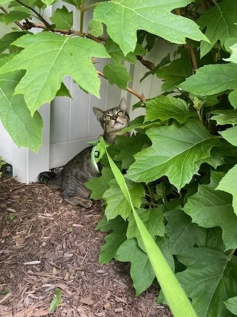 Zzcourtesy Listing For Ethan thumbnail 5