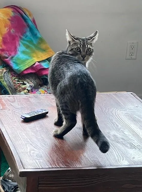 Zzcourtesy Listing For Ethan thumbnail 6