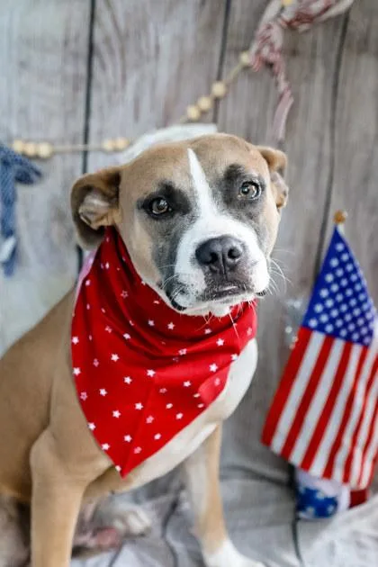 Rosco