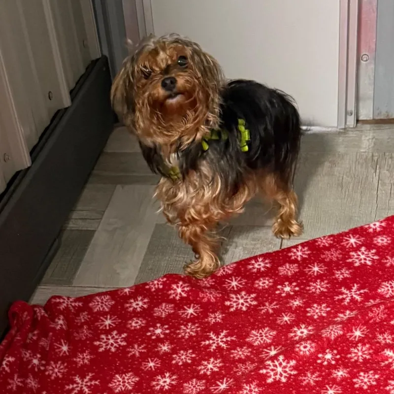 Benny