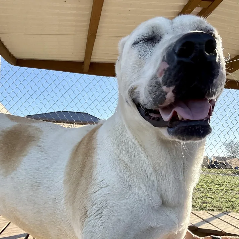 Missy Jane thumbnail 2