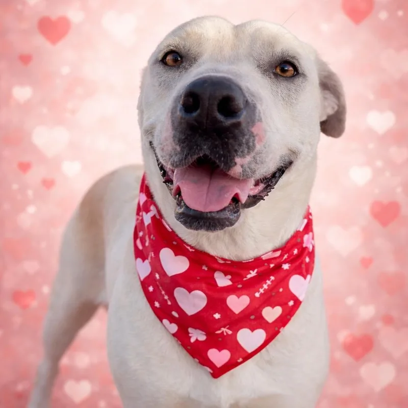 Missy Jane thumbnail 3