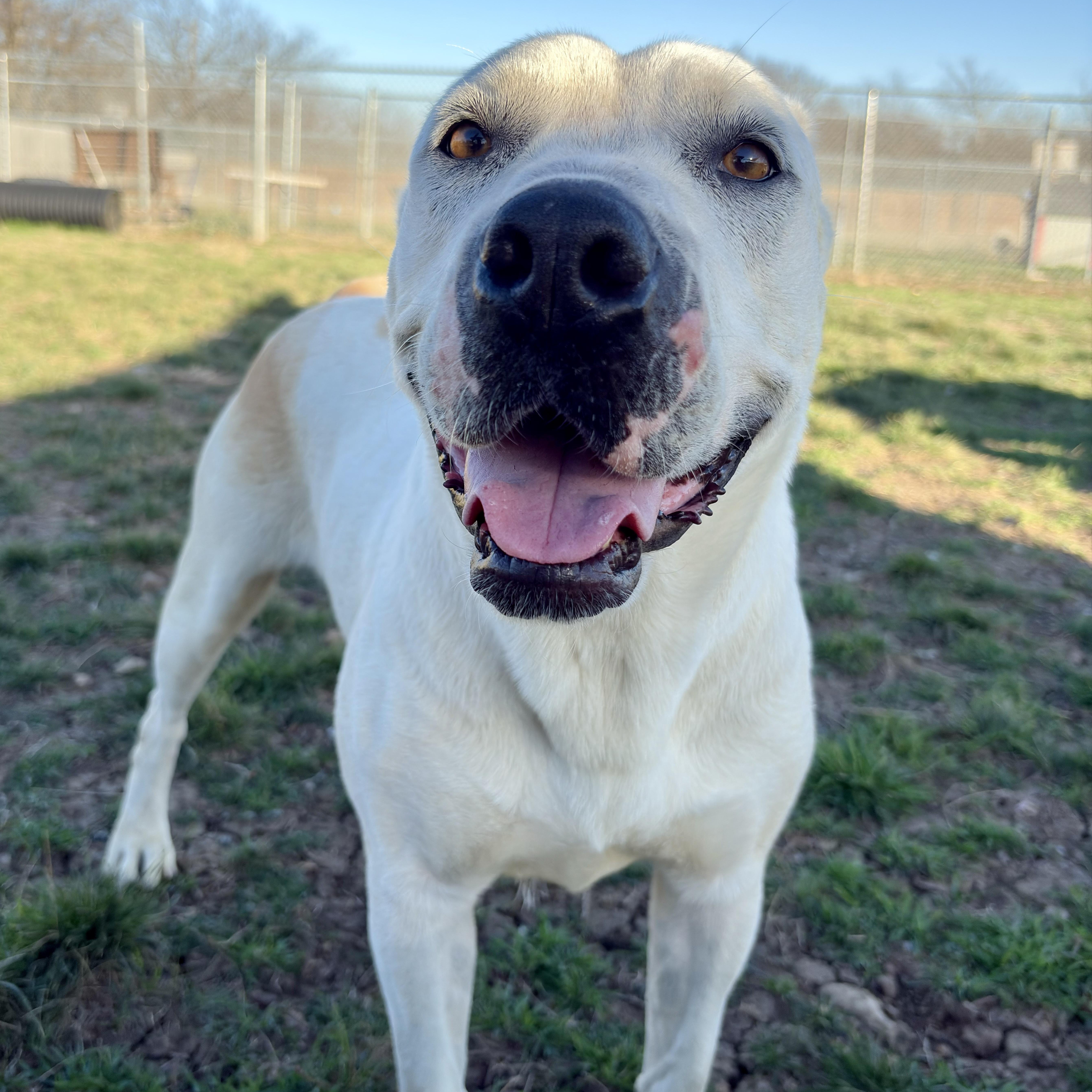 Missy Jane thumbnail 4