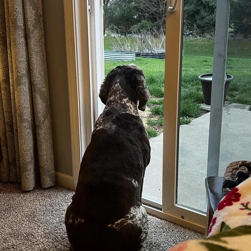 Millie  Home to thumbnail 4