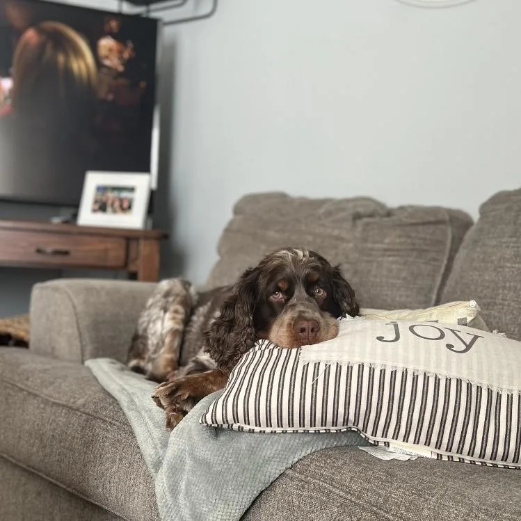 Millie  Home to thumbnail 6