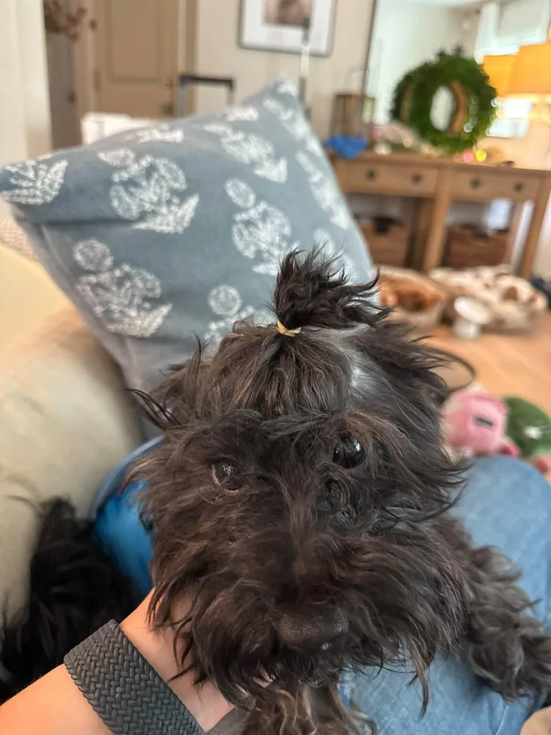 Winston