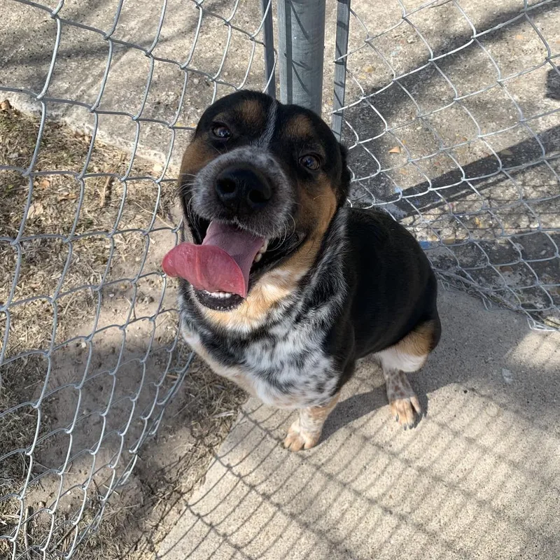 Snuggles thumbnail 2