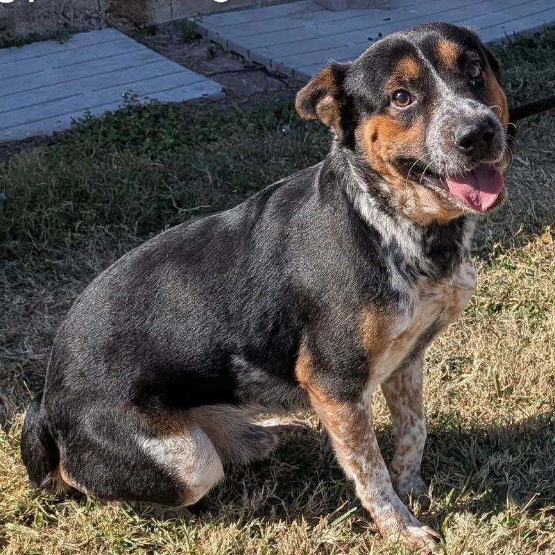 Snuggles thumbnail 3