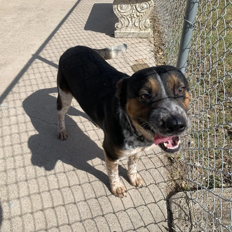 Snuggles thumbnail 4