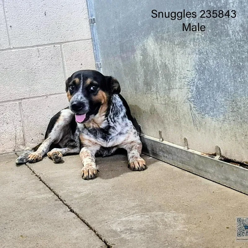 Snuggles thumbnail 5