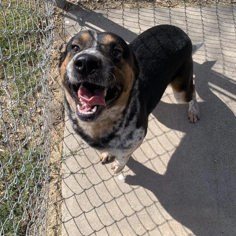 Snuggles thumbnail 6