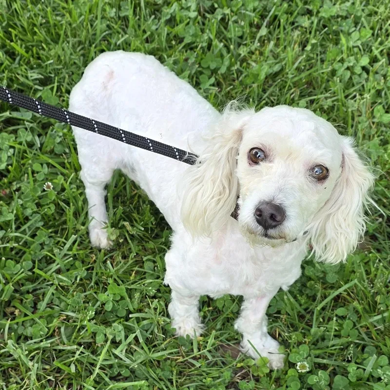 Maggie