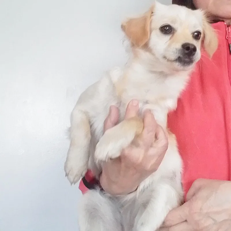 Tilly thumbnail 6