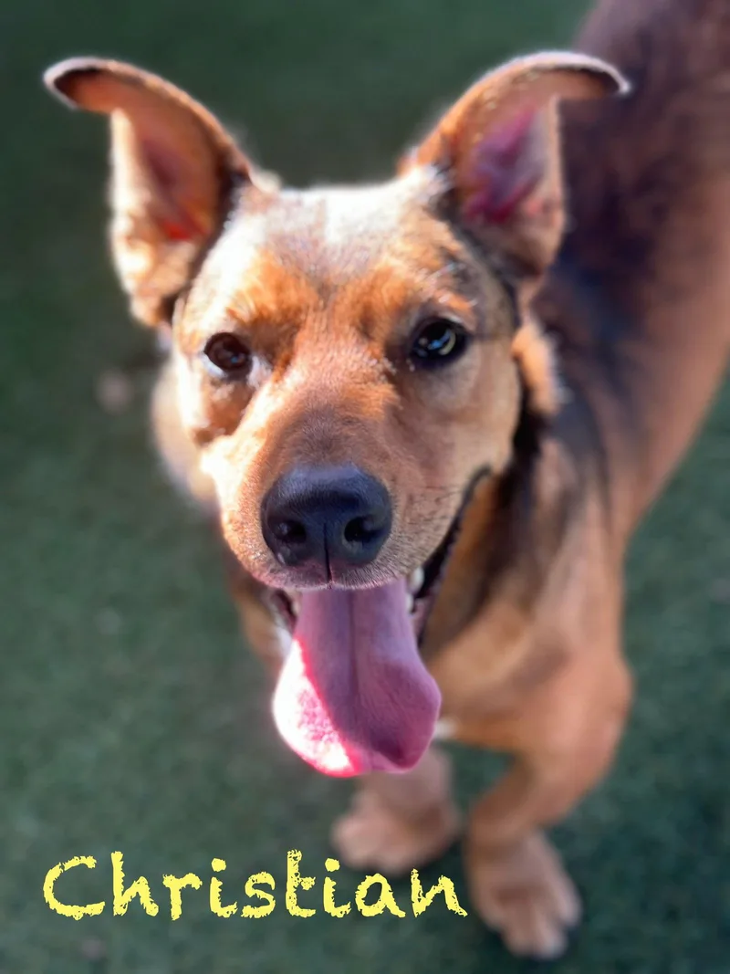 Christian thumbnail 2