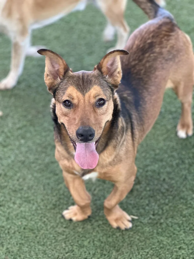 Christian thumbnail 3