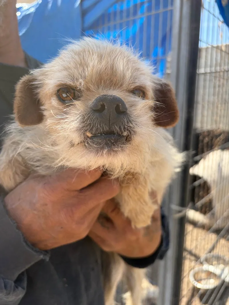 Sponsor Me  Harry thumbnail 2