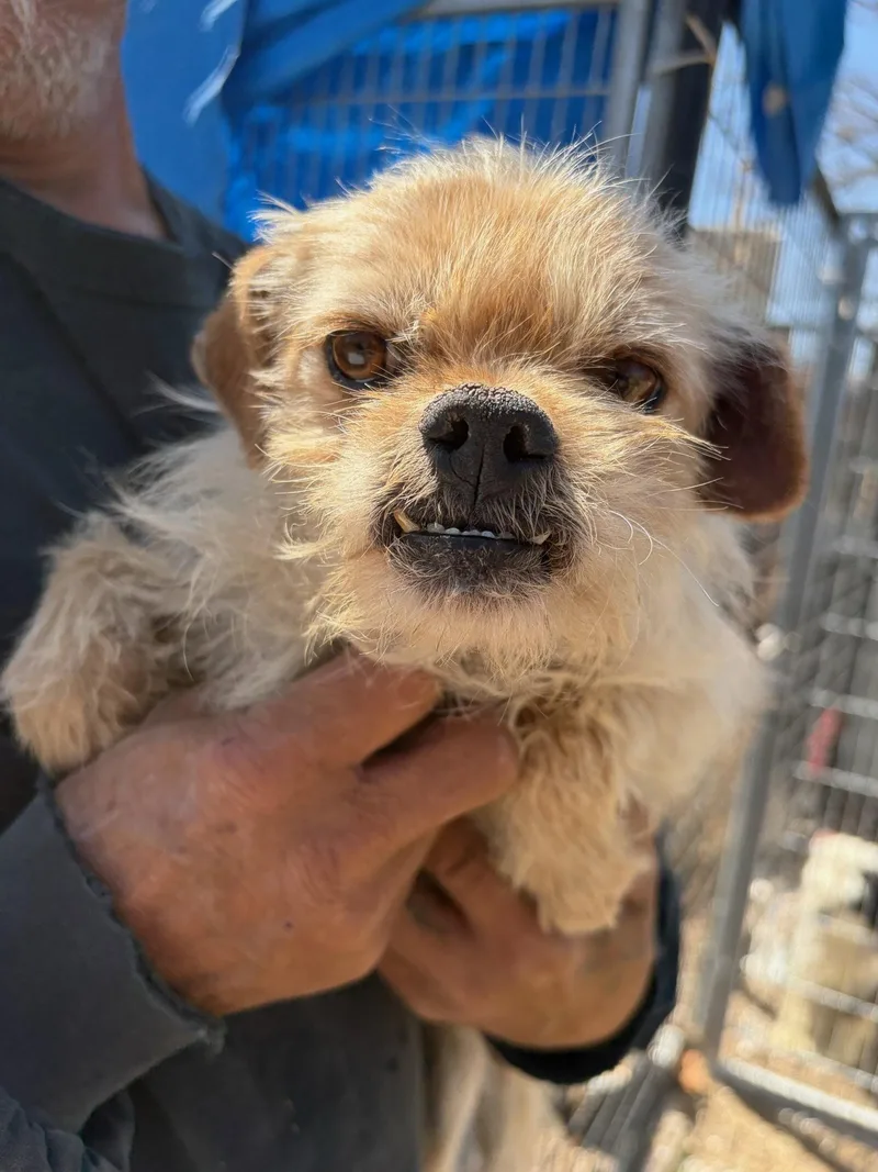 Sponsor Me  Harry thumbnail 3