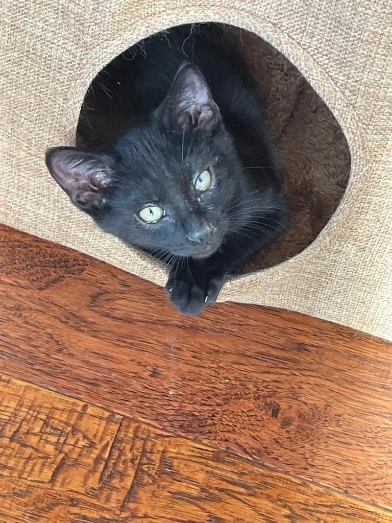 Trouble