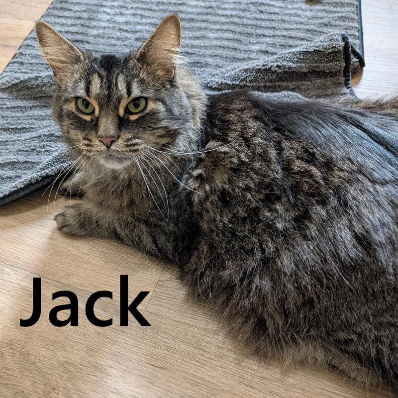 Jack