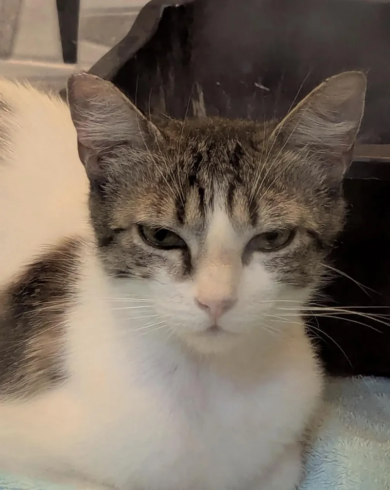 Sadie Jade thumbnail 3