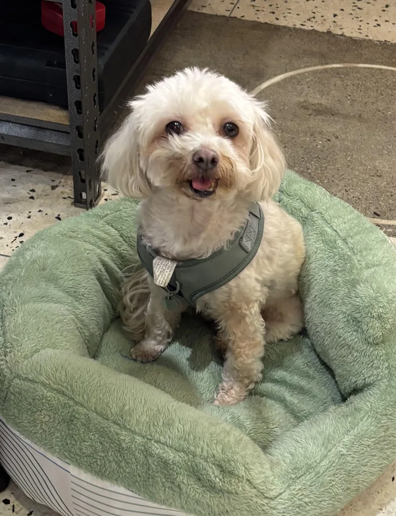 Riley Anderson thumbnail 2