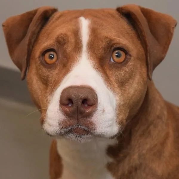 Esmerelda thumbnail 3