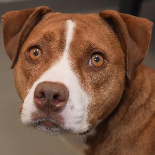 Esmerelda thumbnail 4