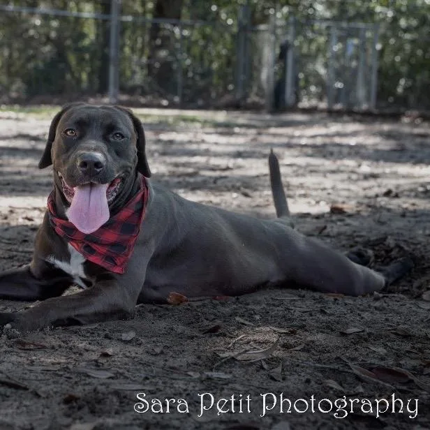 Hercules thumbnail 2