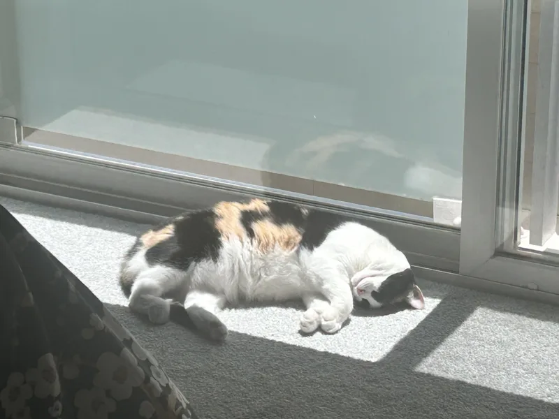 Nina thumbnail 3