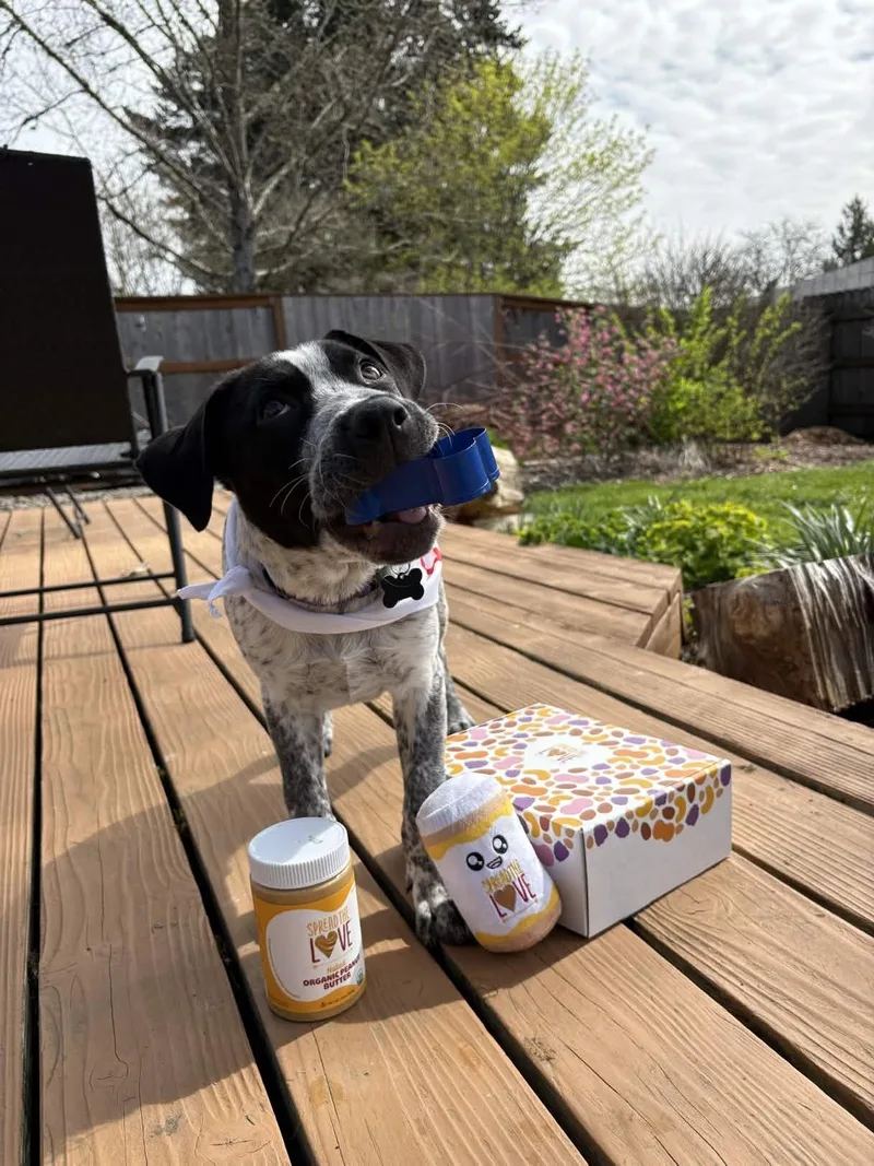 Patty Ann thumbnail 2