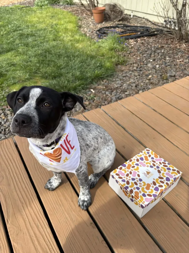 Patty Ann thumbnail 3