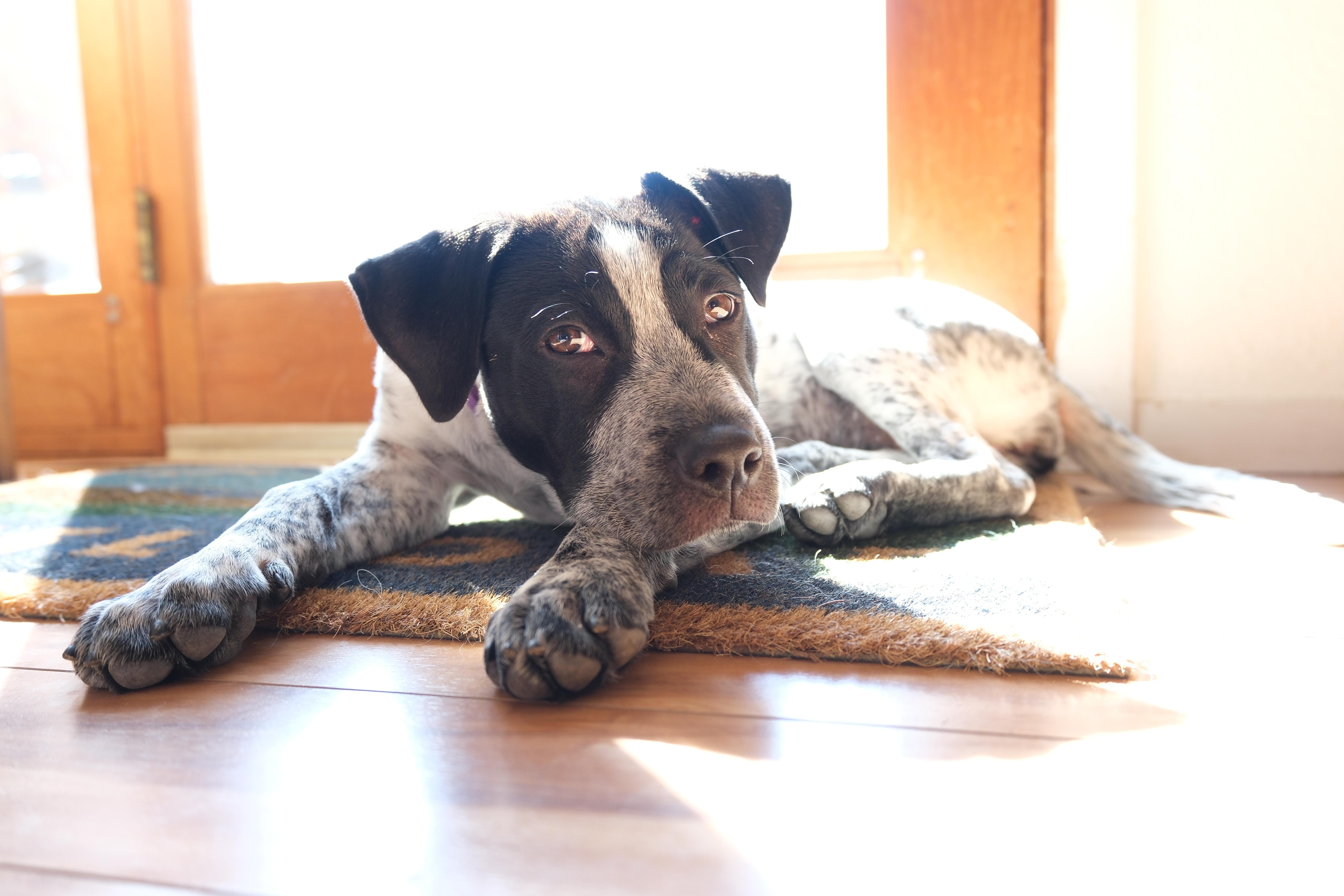 Patty Ann thumbnail 4