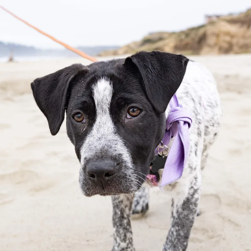 Patty Ann thumbnail 5