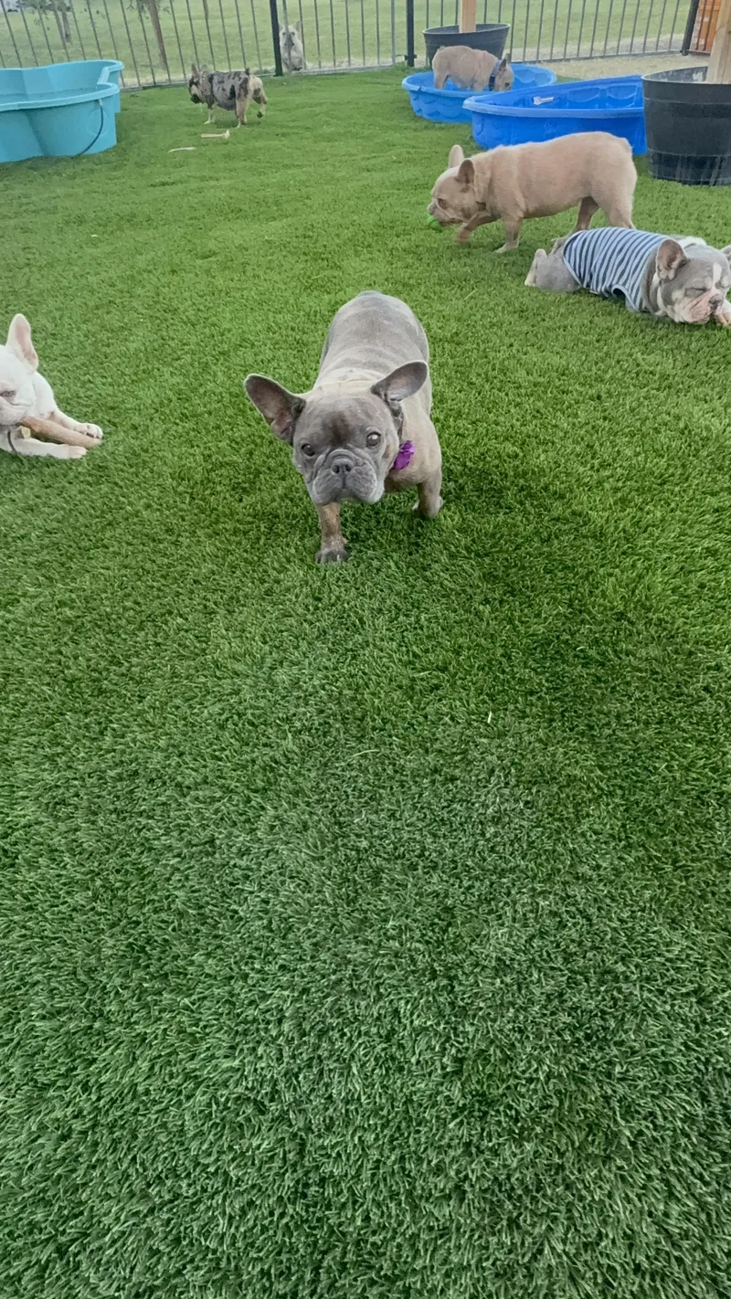 Maggie