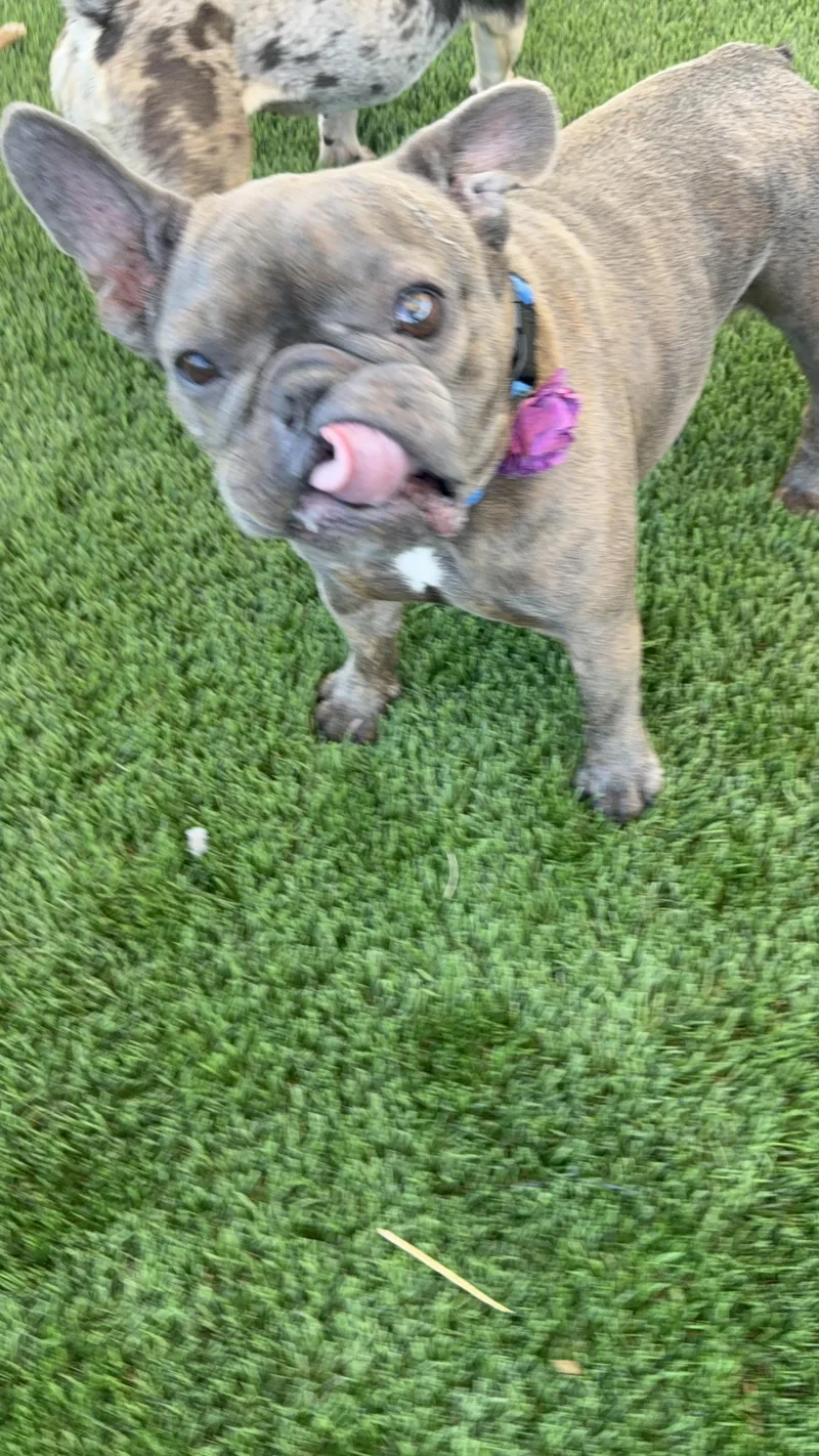 Maggie thumbnail 3