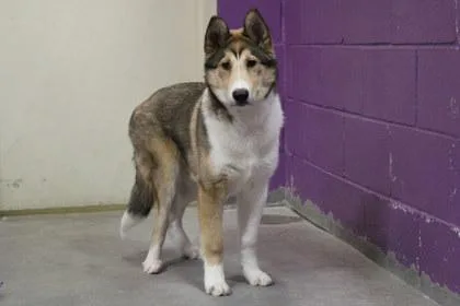 Bullseye thumbnail 2