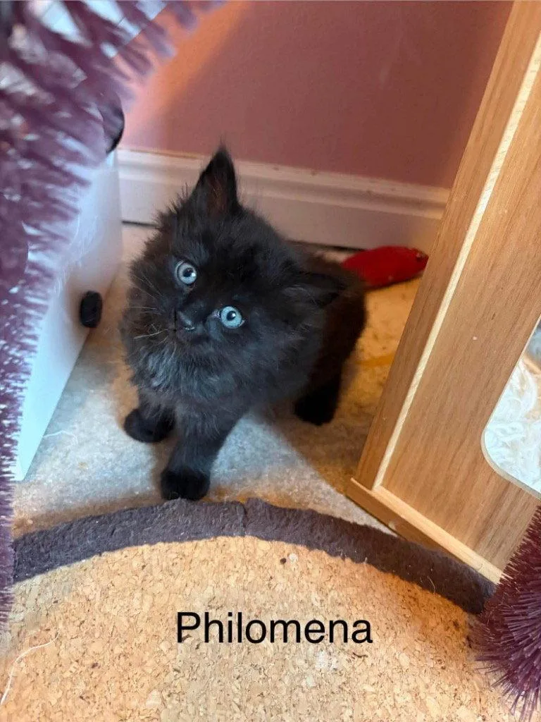 Philomena