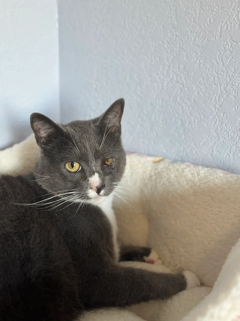 Melvin Indoor Only thumbnail 2