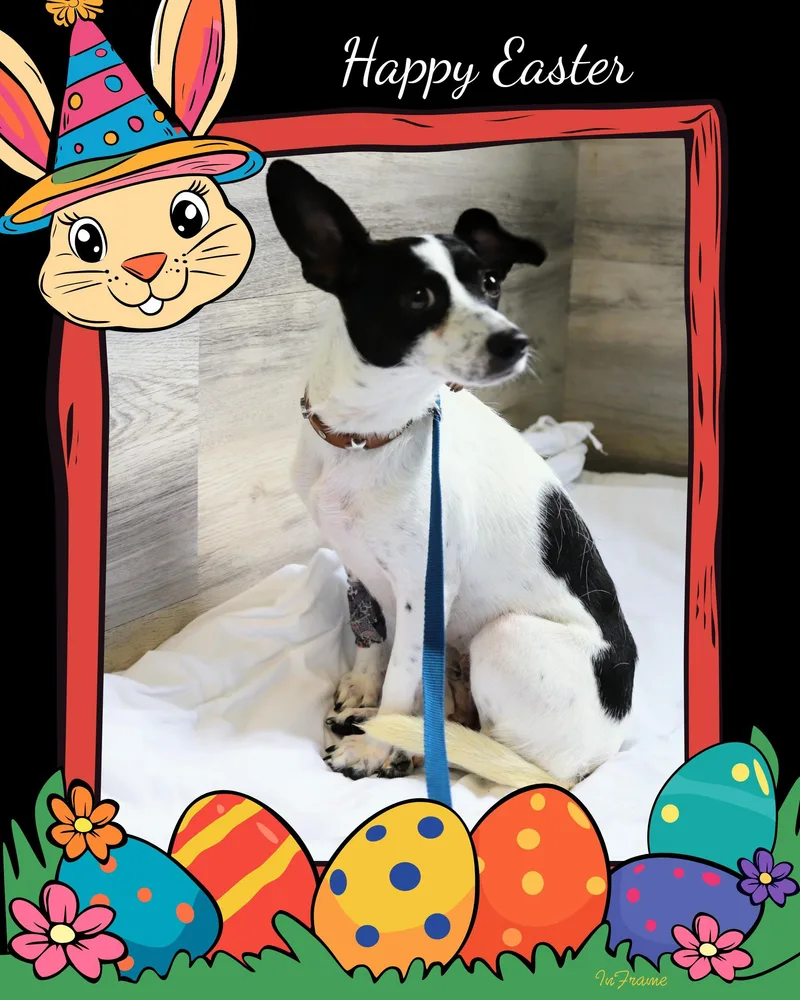 Isabella thumbnail 4