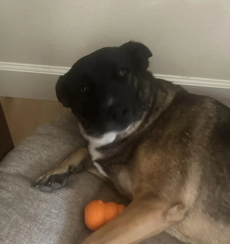 Maggie May thumbnail 3