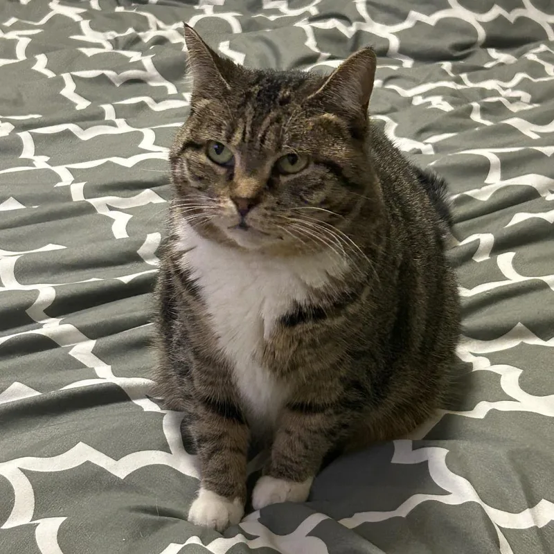 Sky Captain thumbnail 3