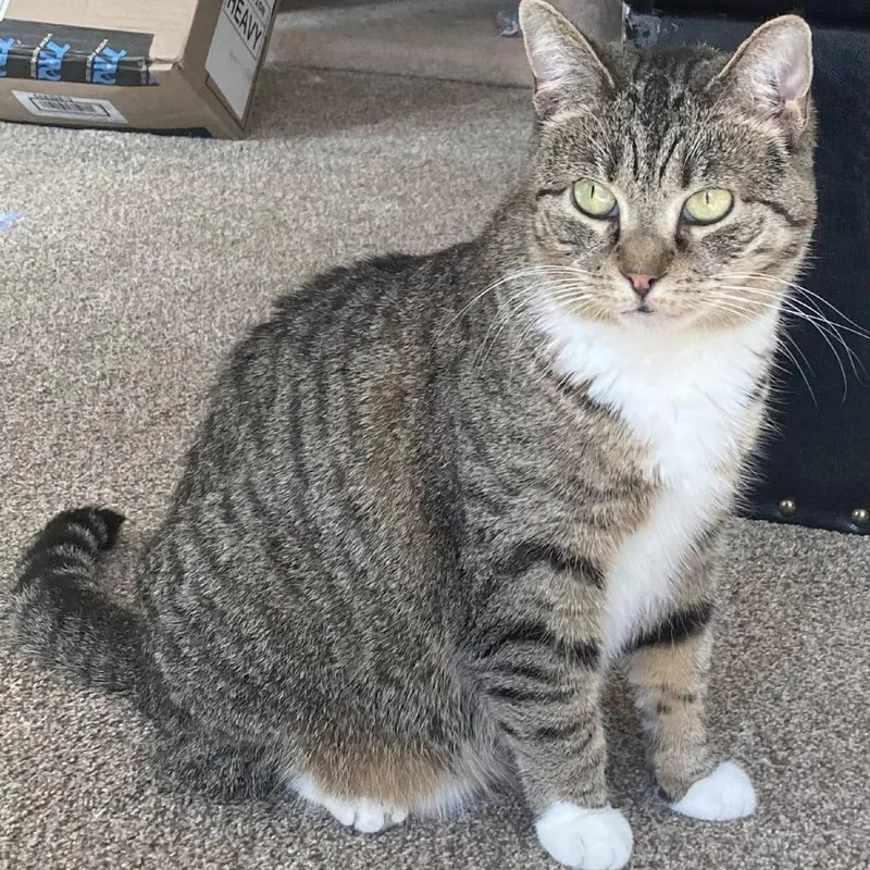 Sky Captain thumbnail 5