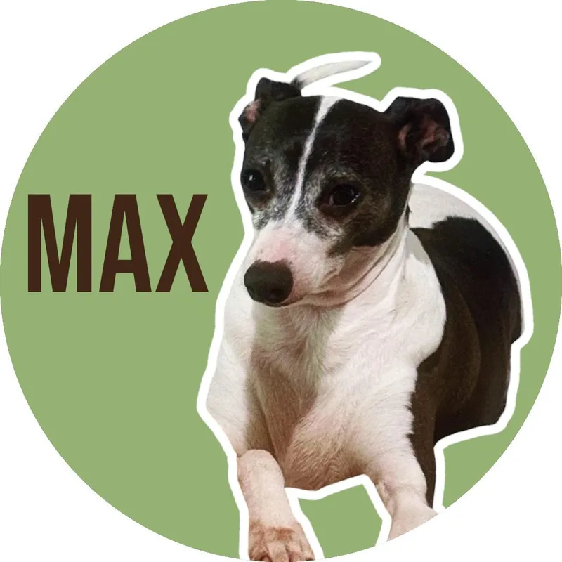 Max thumbnail 5